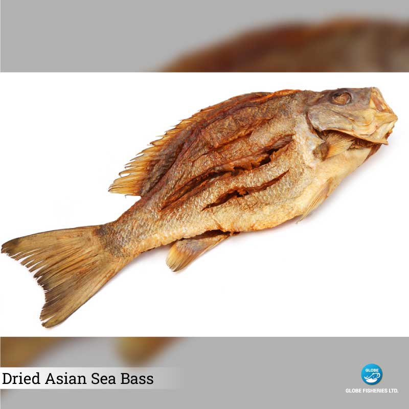 Dried Asian Sea Bass