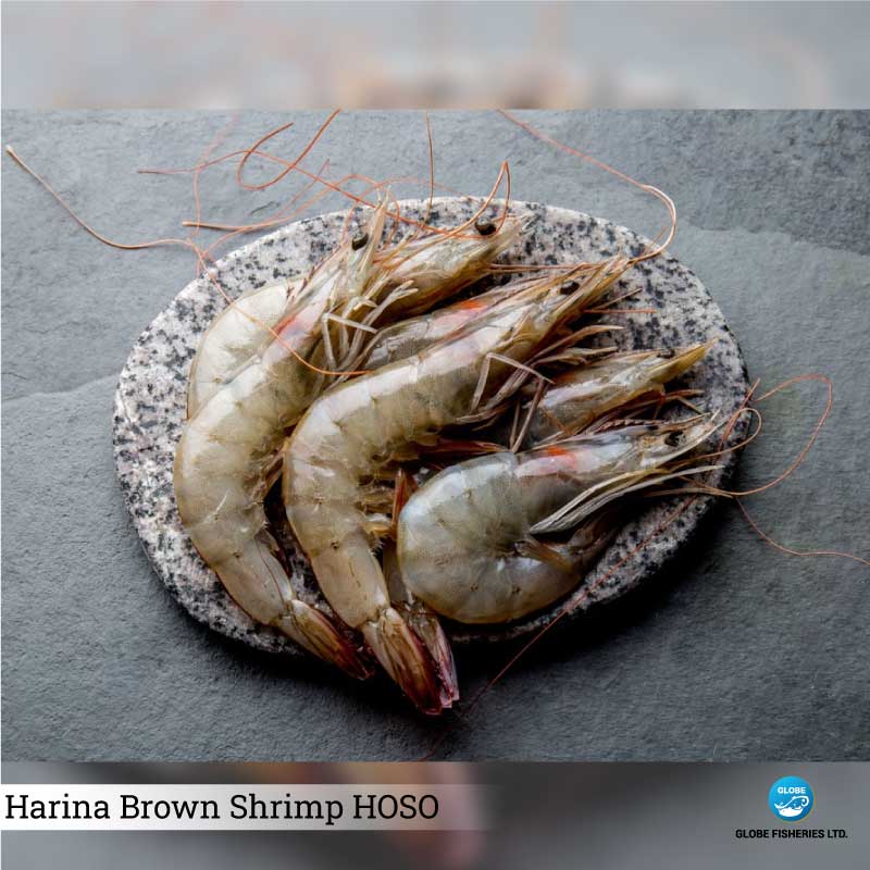 Harina Brown Shrimp