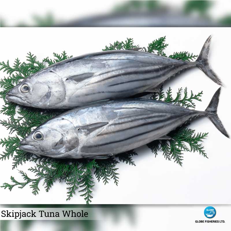 Skipjack Tuna