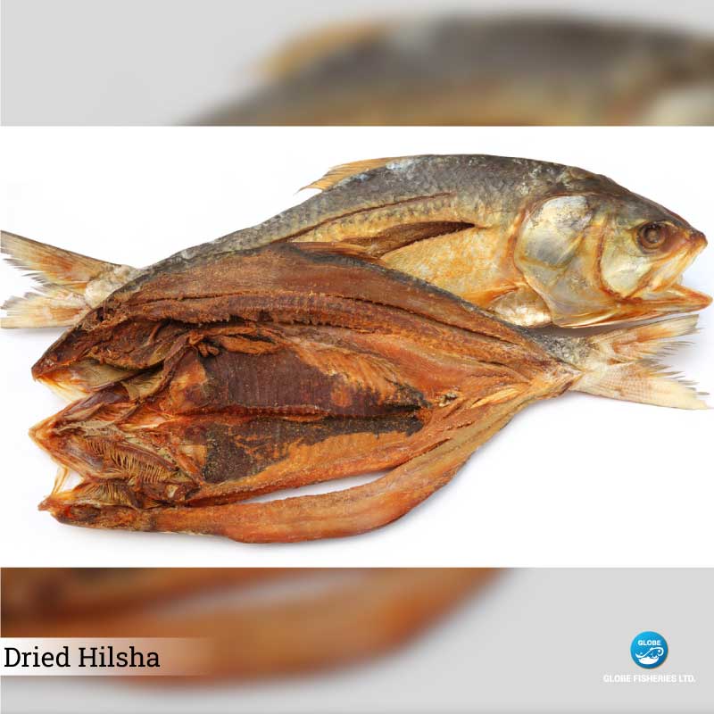 Dried Hilsha