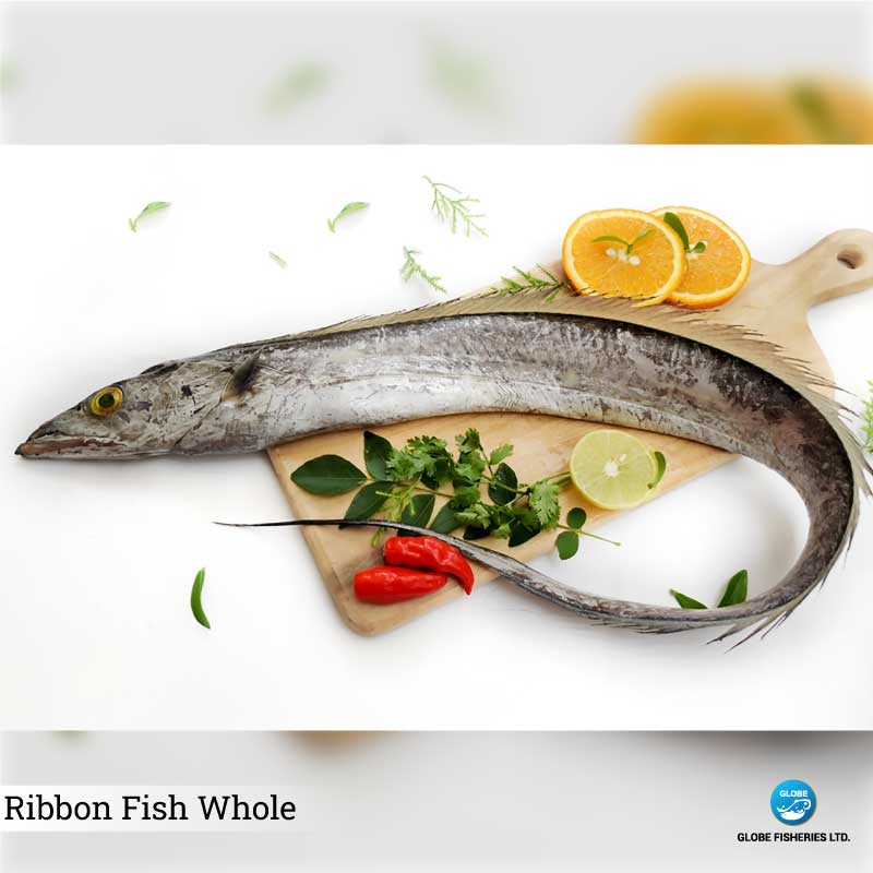 Ribbon Fish