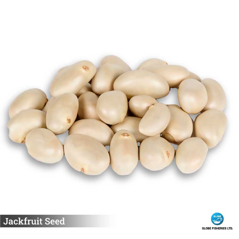 Jackfruit Seed