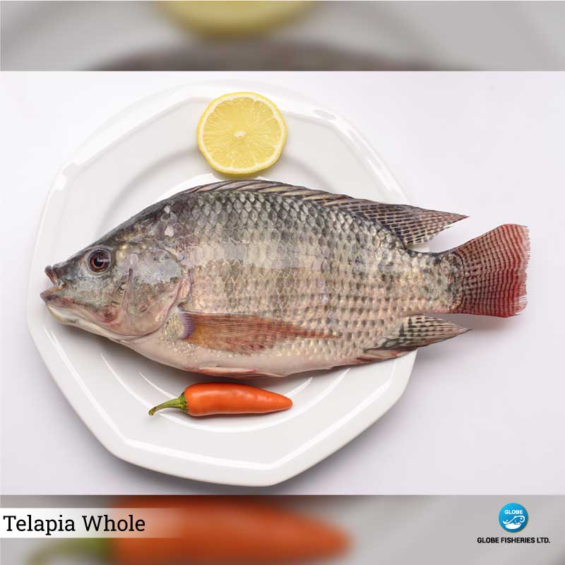 Telapia