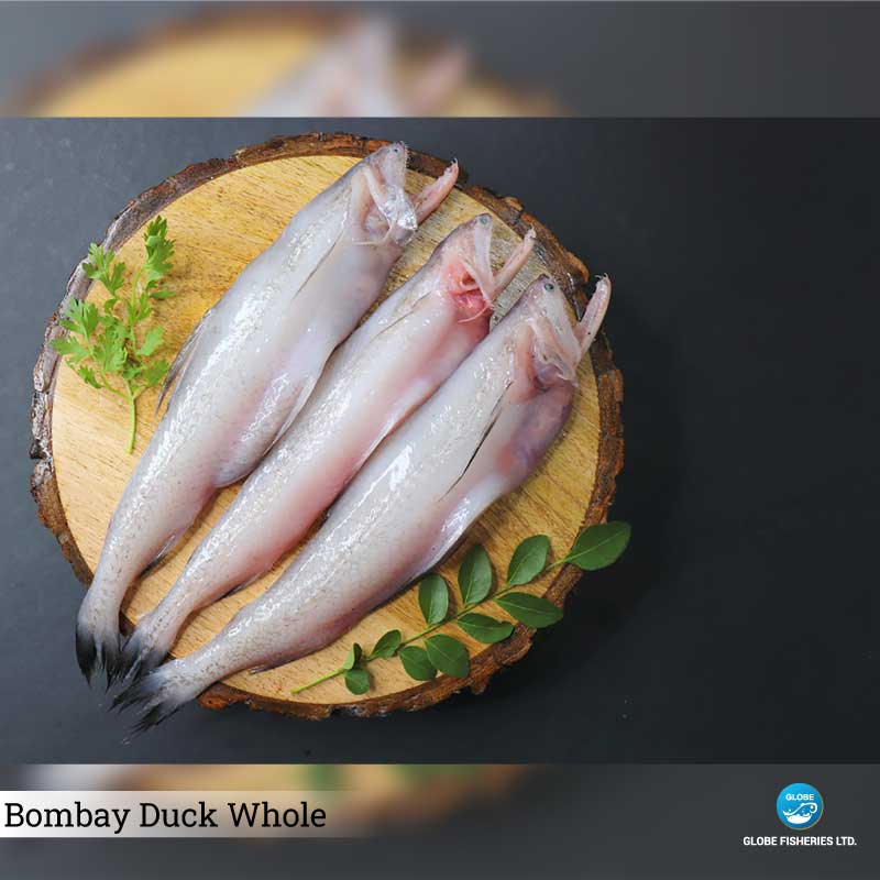 Bombay Duck