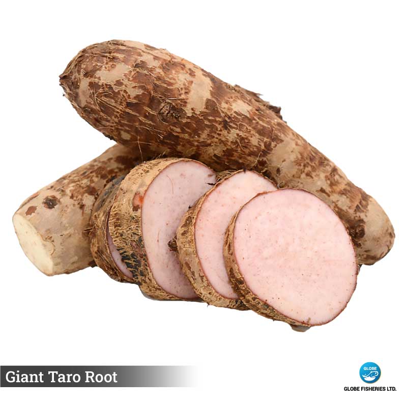 Giant Taro Root