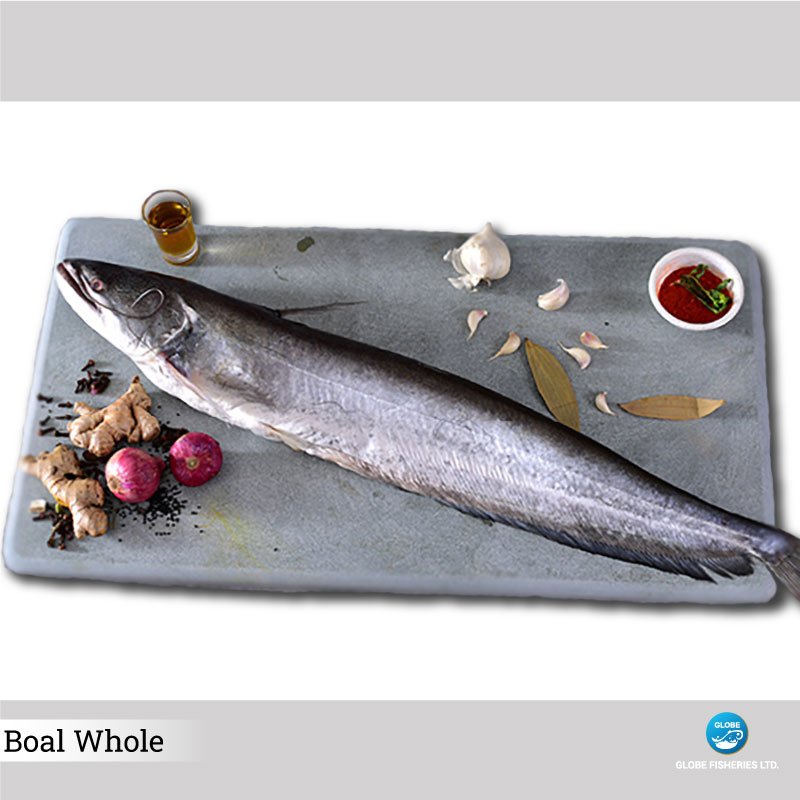 Fresh Water Fish | Globe Fisheries