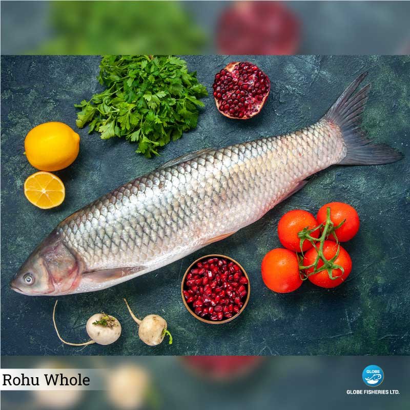 Chinese Rohu Rohu | Globe Fisheries