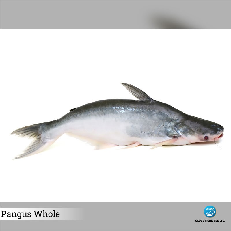 Pangas | Globe Fisheries